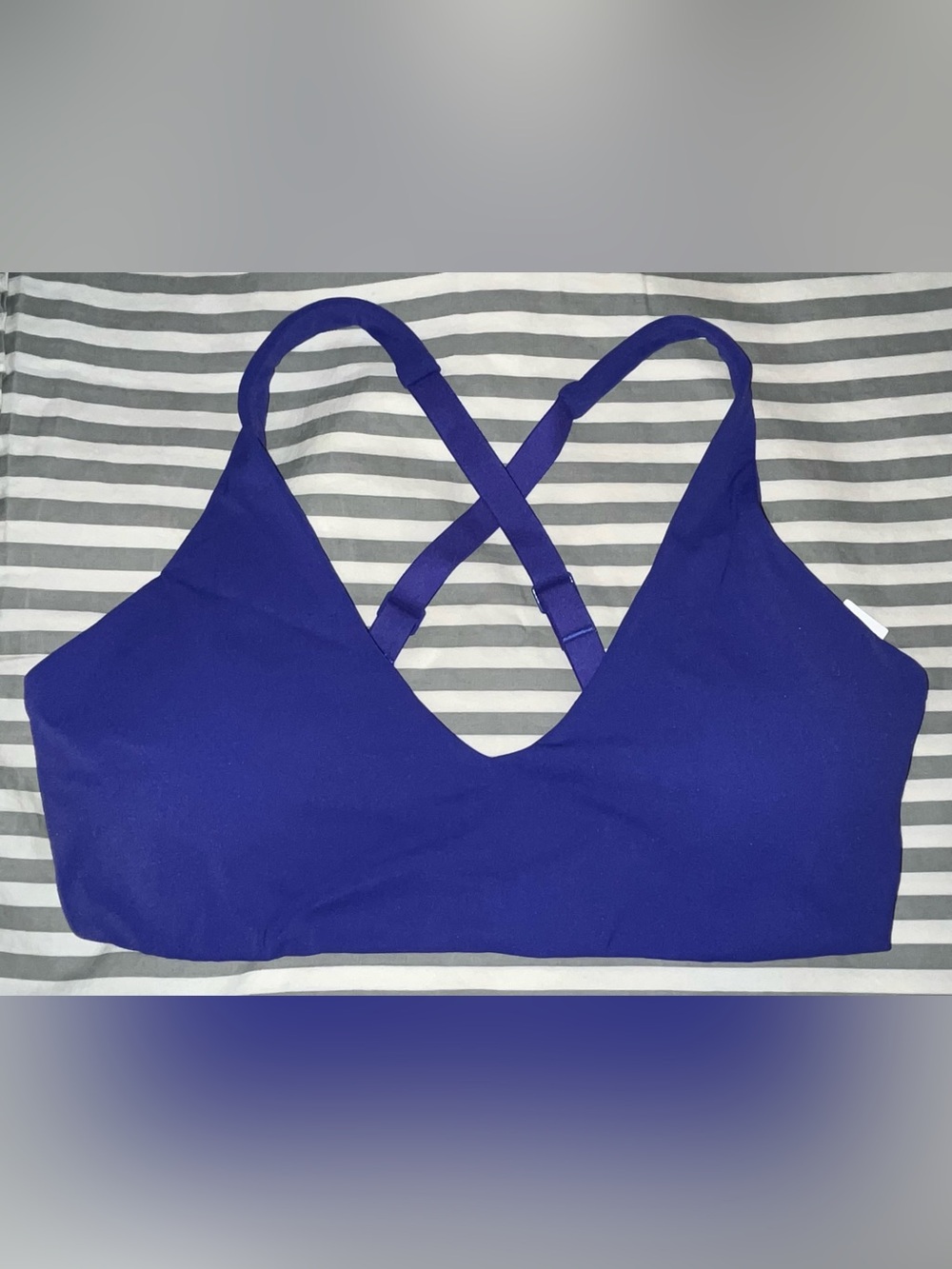 Paragon Fitwear RecStretch Apex Sports Bra in Cosmic Blue Size M